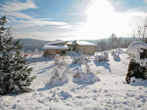 Villa Carinthia by Interhome